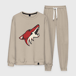 Мужской костюм Phoenix Coyotes