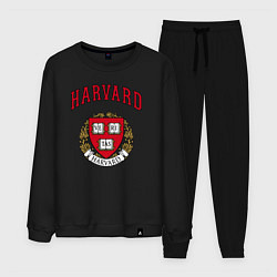 Мужской костюм Harvard university