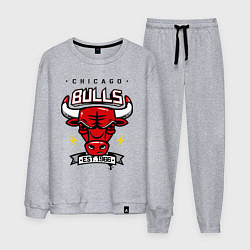 Костюм хлопковый мужской Chicago Bulls est. 1966, цвет: меланж