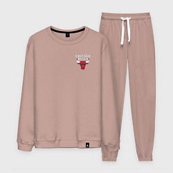 Мужской костюм CHICAGO BULLS