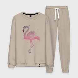 Мужской костюм Flamingo