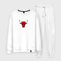 Мужской костюм CHICAGO BULLS