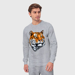 Костюм хлопковый мужской Тигр, цвет: меланж — фото 2