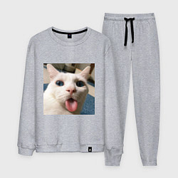 Костюм хлопковый мужской Мем про кота, цвет: меланж
