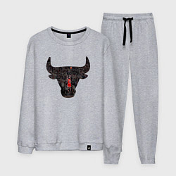 Костюм хлопковый мужской Bulls - Jordan, цвет: меланж