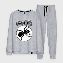 Костюм хлопковый мужской The prodigy ant, цвет: меланж