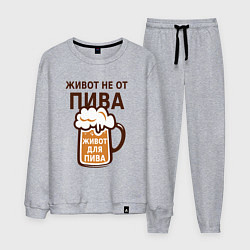 Костюм хлопковый мужской Живот не от пива, а для пива, цвет: меланж
