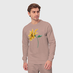 Костюм хлопковый мужской Branch With a Sunflower Подсолнух, цвет: пыльно-розовый — фото 2