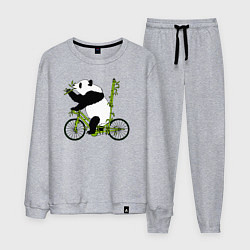 Костюм хлопковый мужской Панда на велосипеде с бамбуком, цвет: меланж