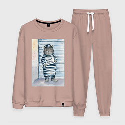 Костюм хлопковый мужской Акварельный рисунок плохой кот, цвет: пыльно-розовый