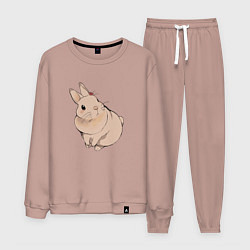 Костюм хлопковый мужской Милый кролик гуашью, цвет: пыльно-розовый