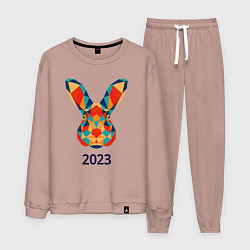 Костюм хлопковый мужской Кролик из мозаики 2023, цвет: пыльно-розовый