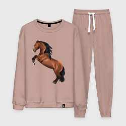 Костюм хлопковый мужской Лузитано, цвет: пыльно-розовый