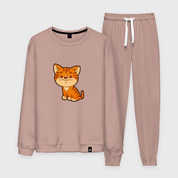 Мужской костюм Рыжий котенок
