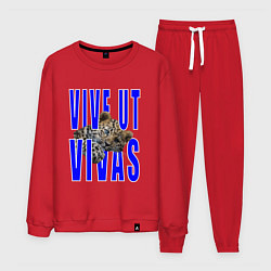 Мужской костюм Vive ut vivas
