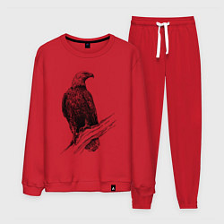 Костюм хлопковый мужской Орёл на ветке, цвет: красный
