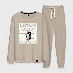 Костюм хлопковый мужской Пингвин программист системы линукс, цвет: миндальный
