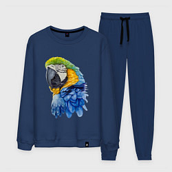 Костюм хлопковый мужской Сине-золотой попугай ара, цвет: тёмно-синий