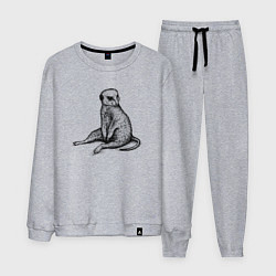Костюм хлопковый мужской Сурикат сидит, цвет: меланж