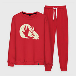 Мужской костюм Заяц и фонарь