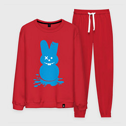 Мужской костюм Blue bunny