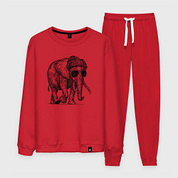 Костюм хлопковый мужской Слон-хипстер, цвет: красный