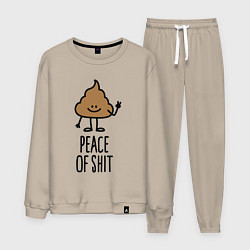 Мужской костюм Peace of shit
