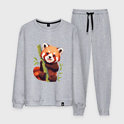 Костюм хлопковый мужской The Red Panda, цвет: меланж