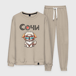 Мужской костюм Сочи собака в очках