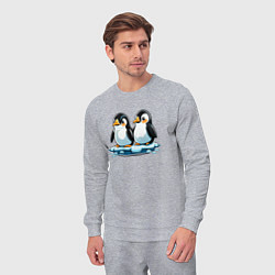 Костюм хлопковый мужской Два пингвина на льдине, цвет: меланж — фото 2