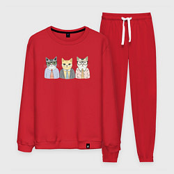 Костюм хлопковый мужской Деловые котики офисные, цвет: красный