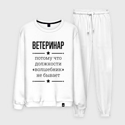 Мужской костюм Ветеринар должность волшебник