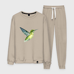 Костюм хлопковый мужской Колибри зелёная, цвет: миндальный