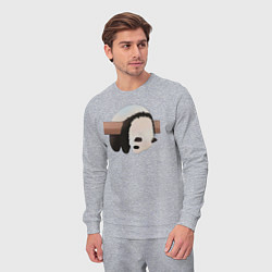 Костюм хлопковый мужской Панда спит на ветке, цвет: меланж — фото 2