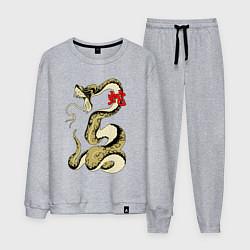 Костюм хлопковый мужской Золотой удав, цвет: меланж