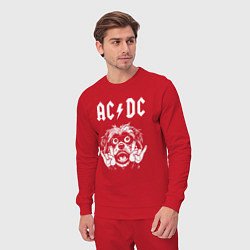 Костюм хлопковый мужской AC DC rock dog, цвет: красный — фото 2