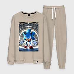 Мужской костюм Соник на сексетной базе