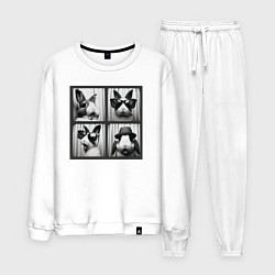 Костюм хлопковый мужской Кролик в фотобудке, цвет: белый