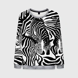 Свитшот мужской Полосатая зебра, цвет: 3D-меланж