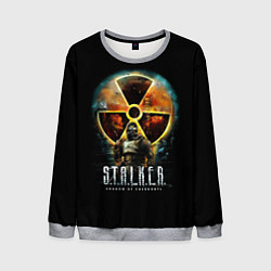 Свитшот мужской STALKER: Shadow of Chernobyl, цвет: 3D-меланж