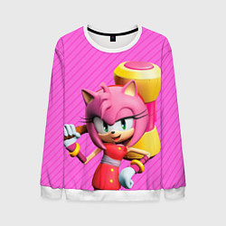 Мужской свитшот Amy Rose