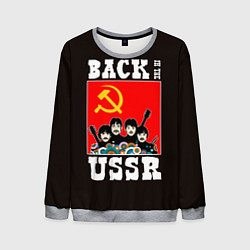 Мужской свитшот Back In The USSR