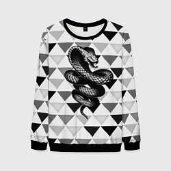 Свитшот мужской Snake Geometric, цвет: 3D-черный