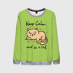 Свитшот мужской Keep Calm and be a cat, цвет: 3D-меланж