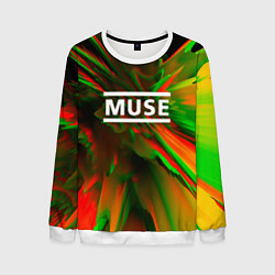 Мужской свитшот Muse: Colour Abstract
