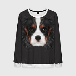 Свитшот мужской Cavalier King Charles, цвет: 3D-белый