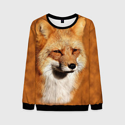 Свитшот мужской Хитрая лисичка, цвет: 3D-черный