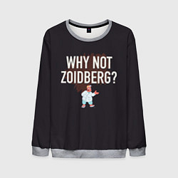 Мужской свитшот Why not Zoidberg?