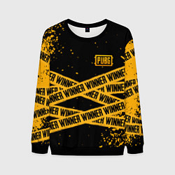Мужской свитшот PUBG: Only Winner