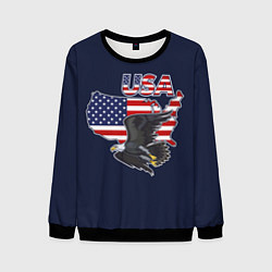 Мужской свитшот USA - flag and eagle